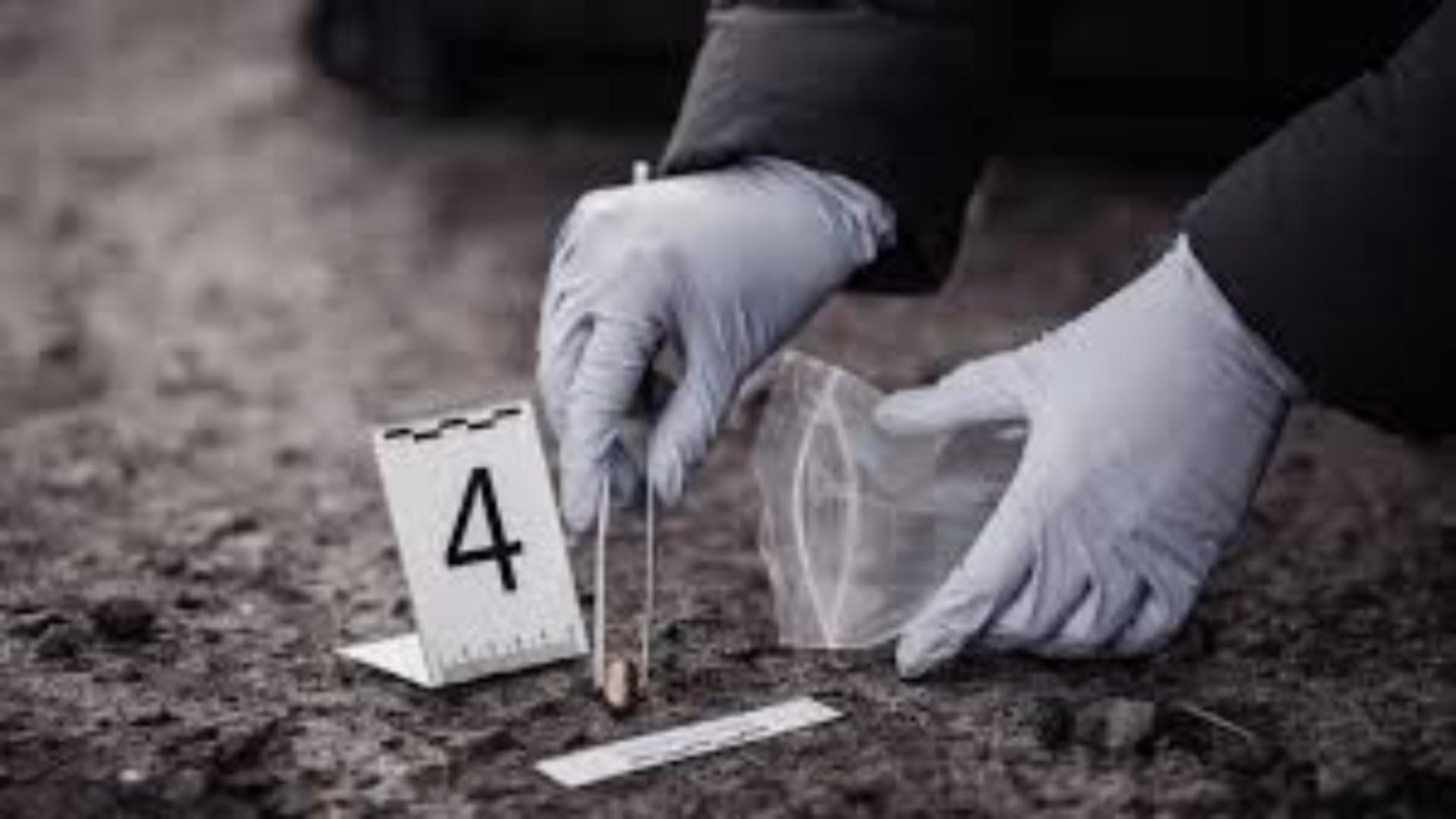 Tragedie în a doua zi de Crăciun: un bărbat dispărut în Ajunul Crăciunului a fost descoperit decedat lângă Ploiești