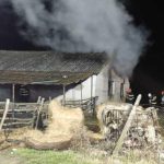 Incendiu suspect la o fermă din Satu Mare. Anchetatorii iau în considerare ca femeia să fi fost incendiată de iubit