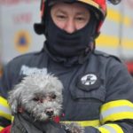 Incendiu într-un bloc din Giurgiu: zeci de locatari evacuați în a doua zi de Crăciun