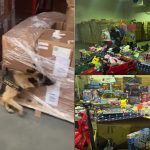 Sute de mii de jucării toxice, blocate la vamă înainte de Crăciun. Avertismentul autorităților -VIDEO