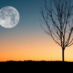 Super Luna Rece din 4 decembrie 2025. Ce se va întâmpla din punct de vedere astral pentru fiecare zodie în parte