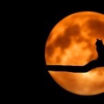 Ritualuri la Luna Plină, din data de 4 decembrie. Te ajută la îndeplinirea dorințelor