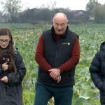 Realitatea Plus arată adevărul pe care guvernanții încearcă să-l ascundă. Cum este distrusă agricultura românească – REPORTAJ