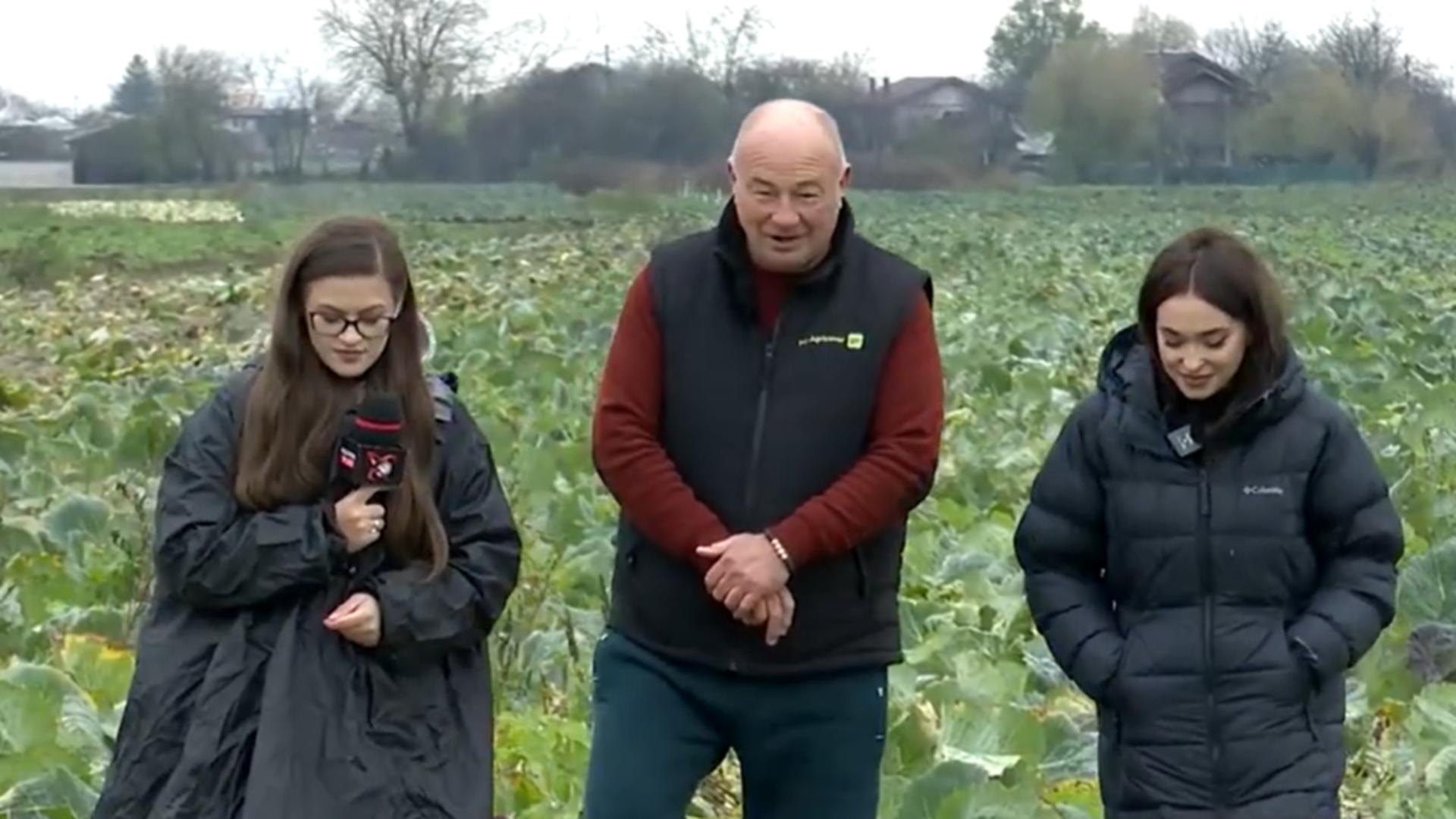 Realitatea Plus arată adevărul pe care guvernanții încearcă să-l ascundă. Cum este distrusă agricultura românească – REPORTAJ