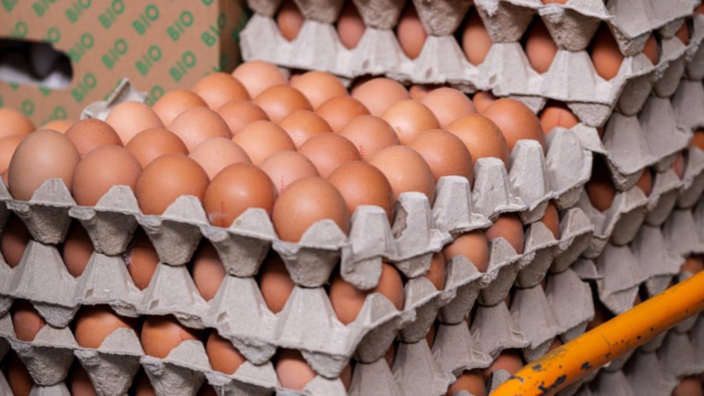 Șoc la raft: cât a ajuns să coste un cofraj cu ouă. Prețul care i-a înfuriat pe români