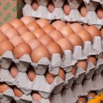 Șoc la raft: cât a ajuns să coste un cofraj cu ouă. Prețul care i-a înfuriat pe români