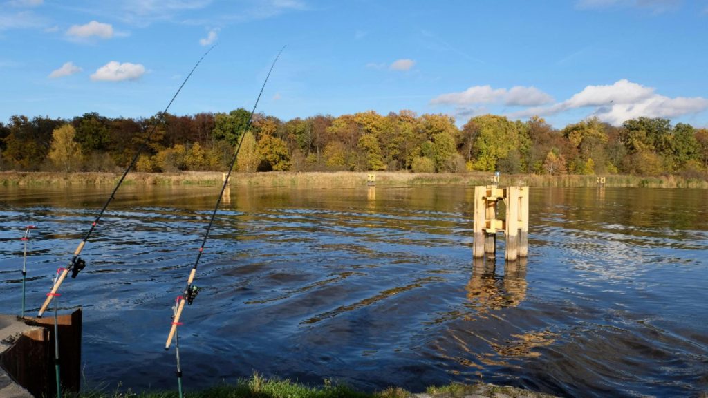 Două grenade au fost prinse cu undița în timpul unei partide de pescuit pe Dunăre