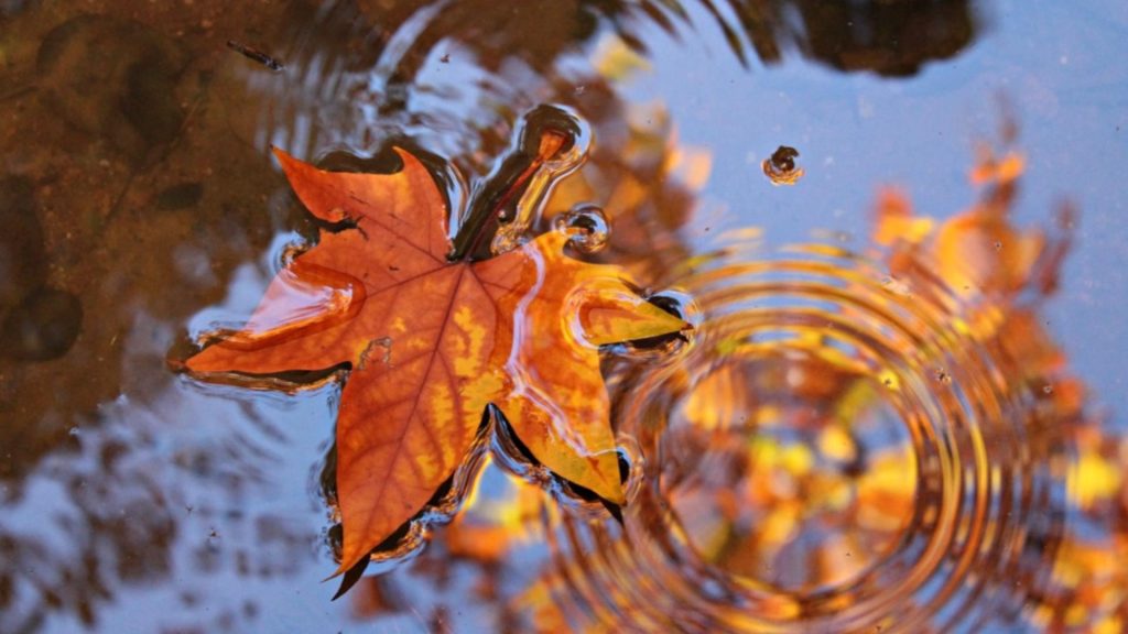 Vremea 6 decembrie. Temperaturi scăzute în toată țara de Sfântul Nicolae: ploi în sud și est, vânt puternic în Dobrogea și Muntenia