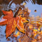 Vremea 6 decembrie. Temperaturi scăzute în toată țara de Sfântul Nicolae: ploi în sud și est, vânt puternic în Dobrogea și Muntenia