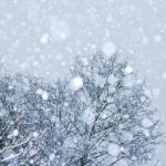 Ianuarie începe cu frig: temperaturi sub normalul perioadei și precipitații până pe 19 ianuarie