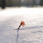 Cea mai scurtă zi din 2025, tot mai aproape: când are loc solstițiul de iarnă