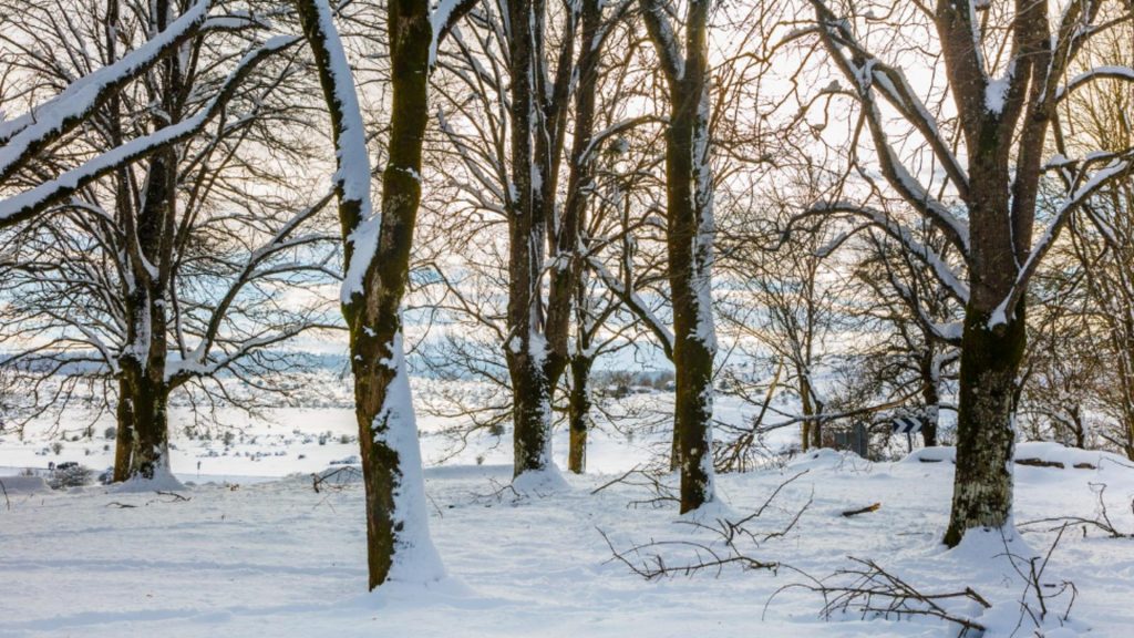 Variații mari de temperatură în decembrie: răcire accentuată după data de 18. Cum va fi vremea de Crăciun, pe regiuni