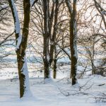 Variații mari de temperatură în decembrie: răcire accentuată după data de 18. Cum va fi vremea de Crăciun, pe regiuni