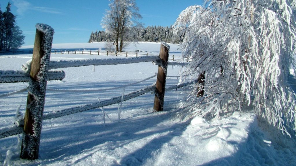 Iarnă blândă în România: valori termice peste normal. Cum vor arăta primele zile din ianuarie
