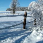 Iarnă blândă în România: valori termice peste normal. Cum vor arăta primele zile din ianuarie