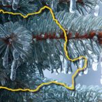 Alertă de la ANM: Cod galben de ceață și polei în cinci județe din țară, în orele următoare