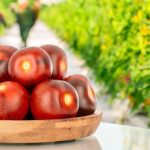 Proiect AUR. Fără impozit pe solarii, sere și pătule