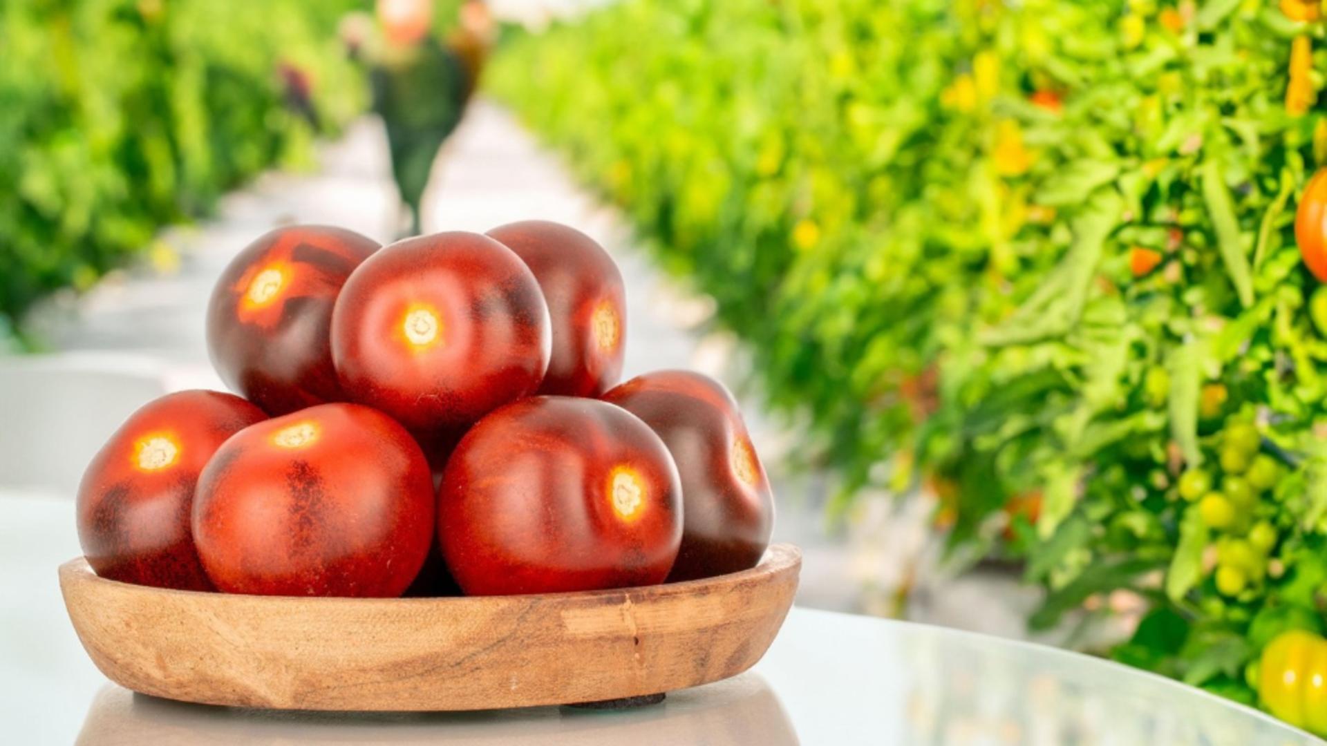 Proiect AUR. Fără impozit pe solarii, sere și pătule