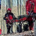 Descoperire neașteptată în Argeș: bărbat dispărut de două zile, găsit fără viață într-o zonă forestieră