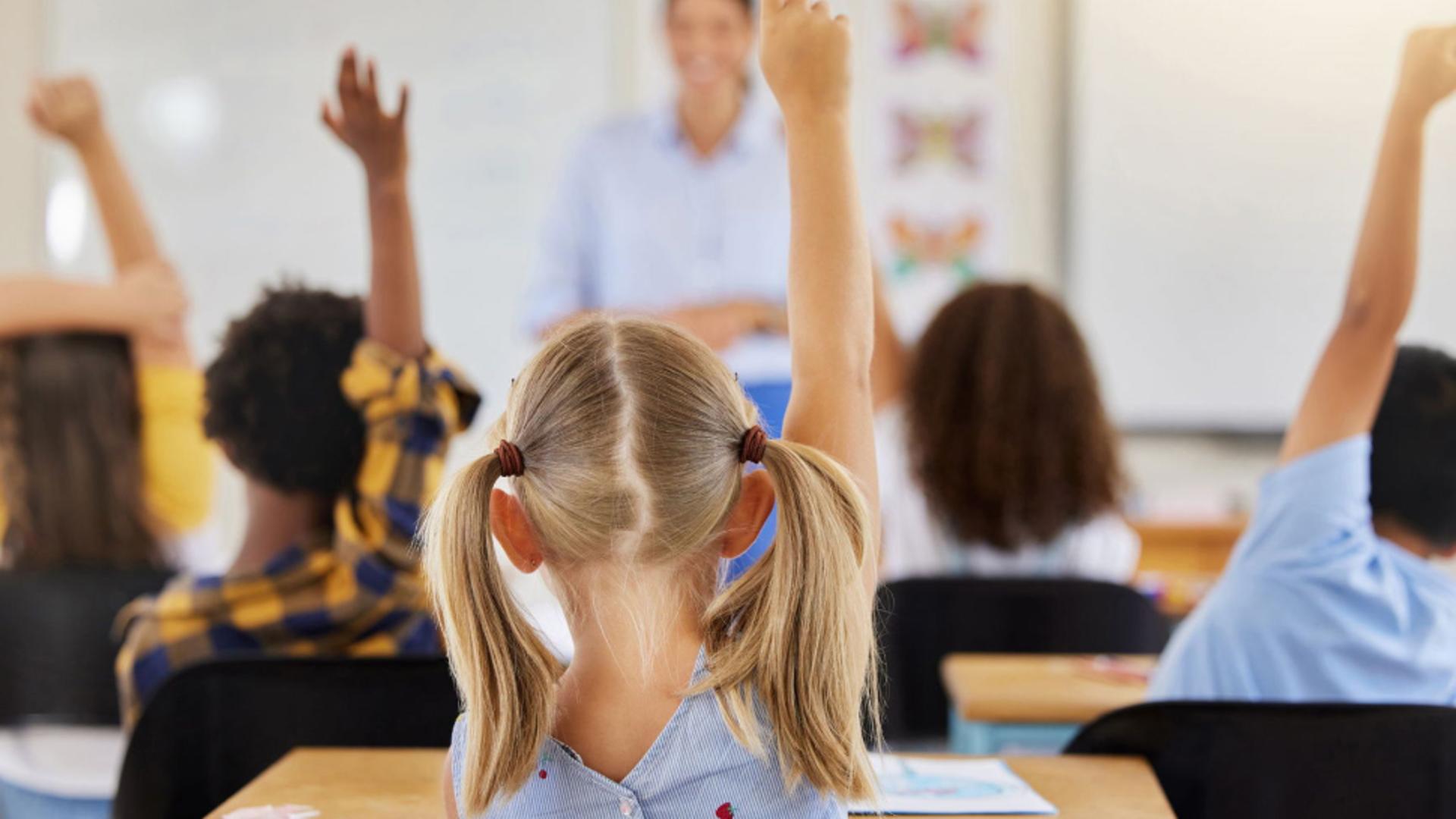 Educație „românească”: 15 dintre profesorii care au scris programa la Română pentru liceu sunt și în comisia de avizare