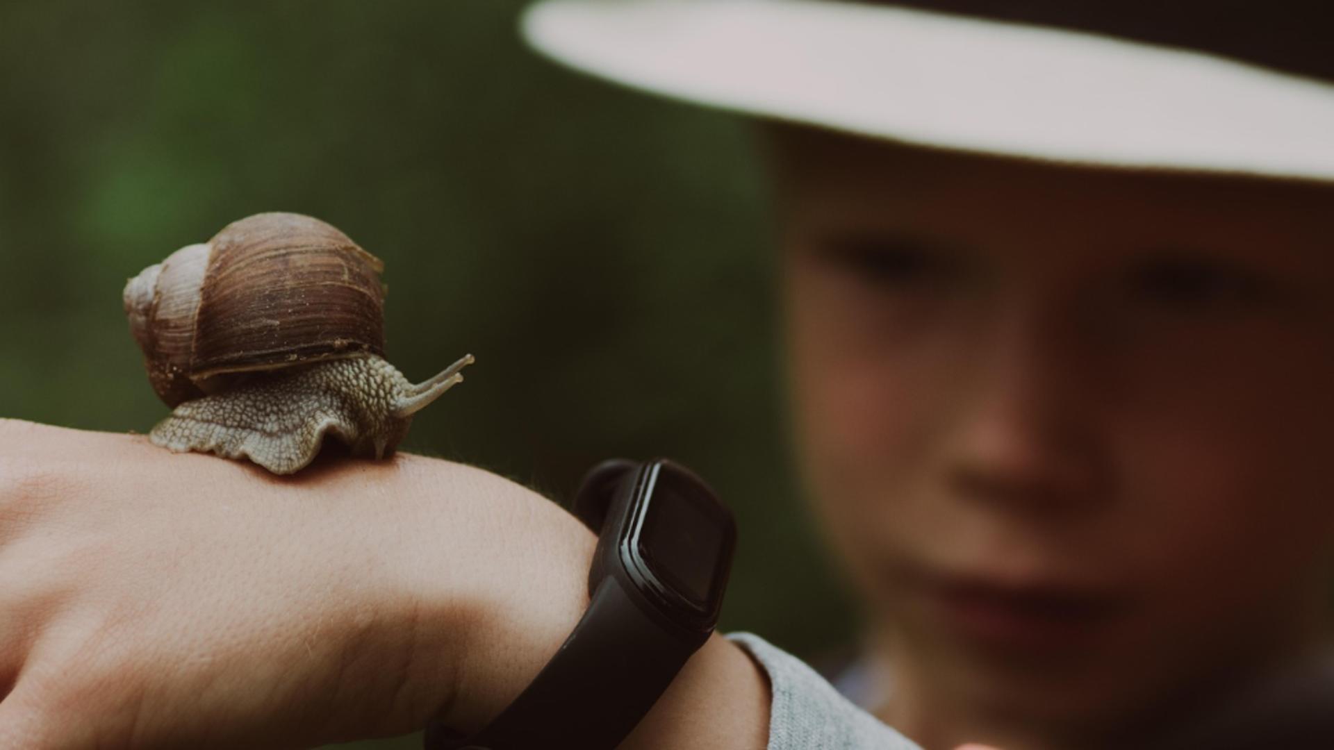 Sfârșit terifiant pentru un copil de doar 13 ani. A murit din cauza unei provocări din mediul online