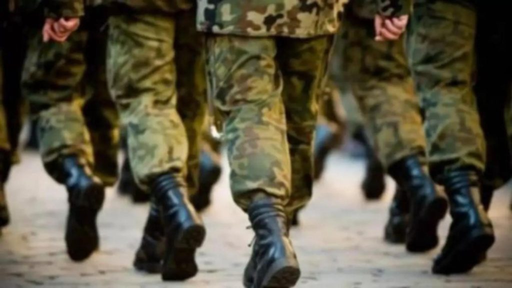 Legea voluntariatului militar, adoptată definitiv de Senat