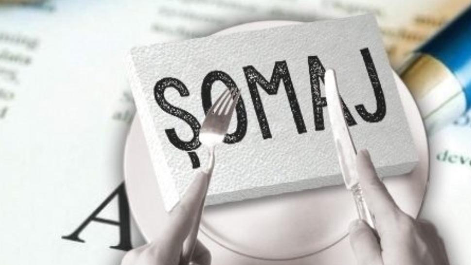 Un gigant din industria electrocasnicelor disponibilizează sute de angajați din fabrica de la Timișoara