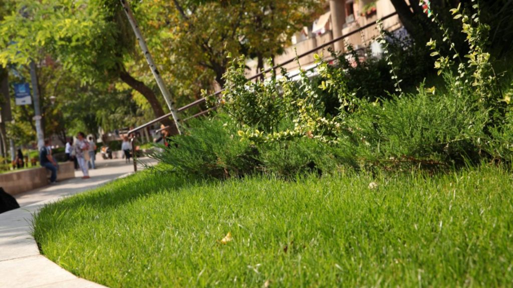 Bucureștiul și deficitul de spațiu verde util. Un oraș mare, cu o suprafață verde mică