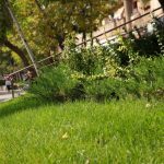 Bucureștiul și deficitul de spațiu verde util. Un oraș mare, cu o suprafață verde mică