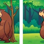 Test IQ pentru genii. Poți depista cele șase diferențe în mai puțin de 20 de secunde?