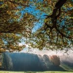 Temperaturile sfidează calendarul. 14 grade în plină lună de decembrie. Prognoza meteo pentru săptămâna viitoare