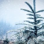 Cum va fi vremea de Crăciun și Revelion. ANM a emis prognoza meteo pe 4 săptămâni