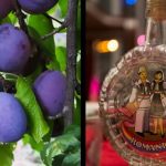 Ce beneficii are țuica fiartă cu cuișoare. Ce arată noile cercetări