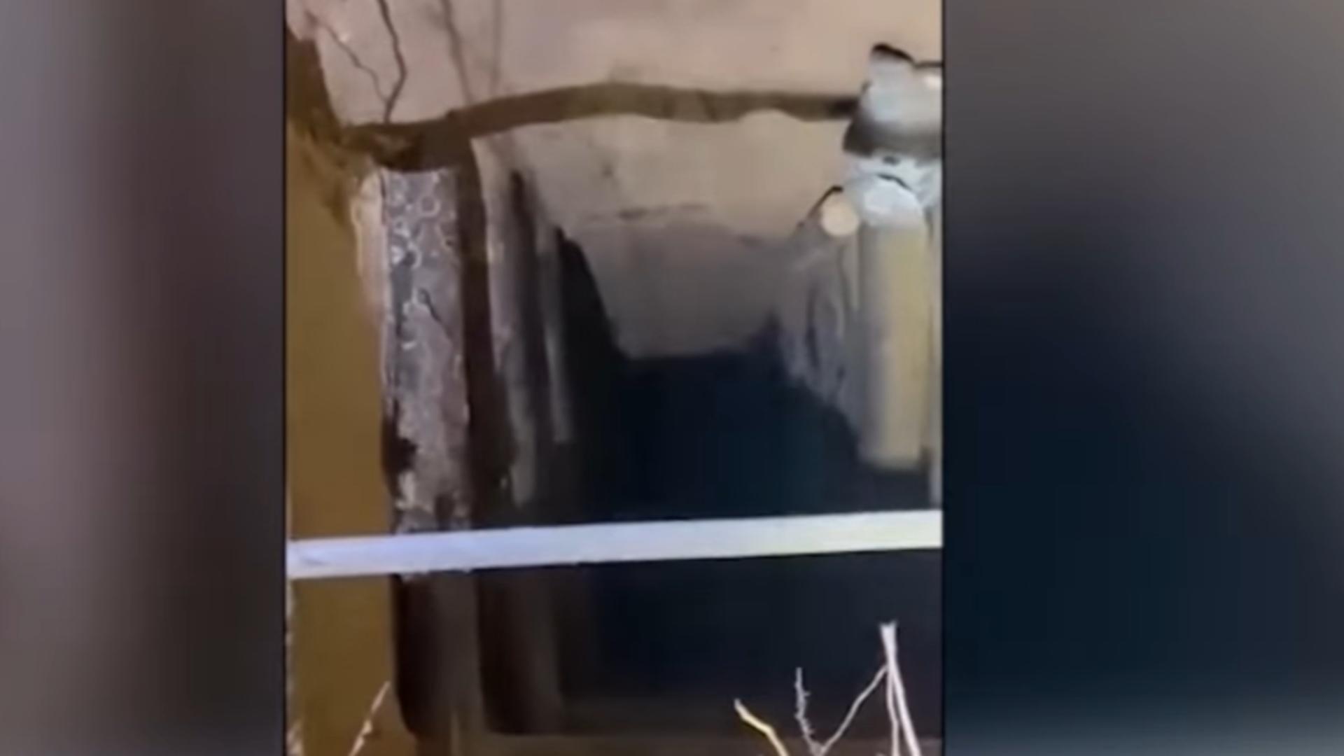 Tunel secret descoperit la granița Poloniei cu Belarus. Peste 180 de migranți au trecut prin el – VIDEO
