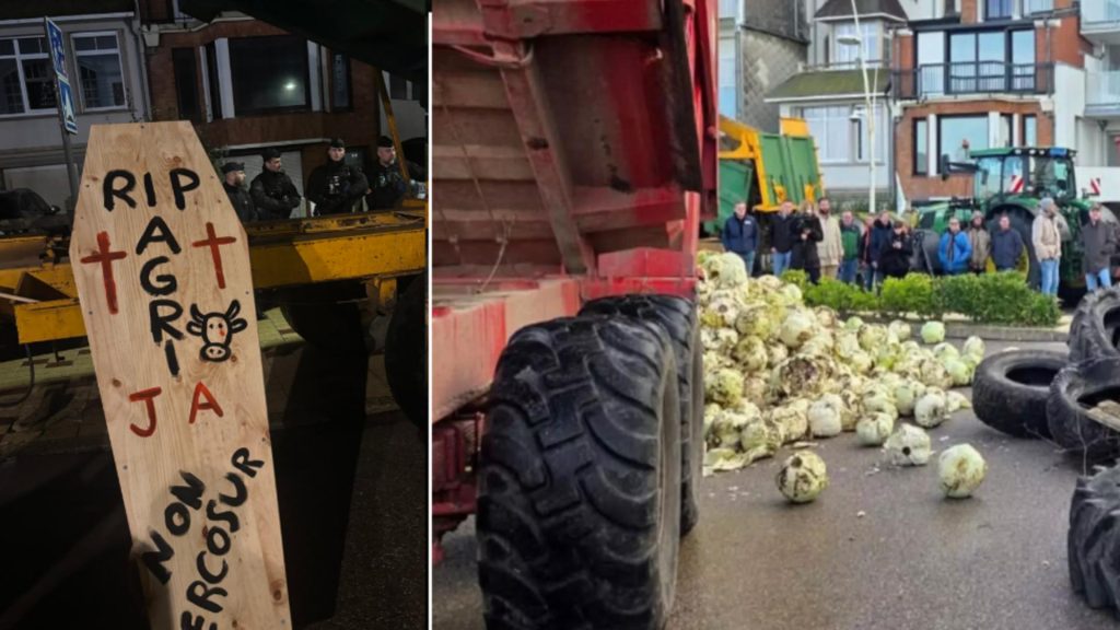 Fermierii francezi, proteste cu varză stricată și sicrie în fața casei lui Macron – VIDEO