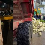 Fermierii francezi, proteste cu varză stricată și sicrie în fața casei lui Macron – VIDEO