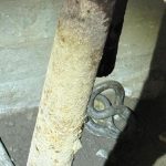 Șerpi de aproximativ 1,5 metri, descoperiți în beciul unei gospodării din Tulcea! Au intervenit jandarmii