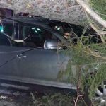 Furtuna a făcut ravagii pe Valea Prahovei: copaci smulși de vânt la Sinaia și un autoturism avariat