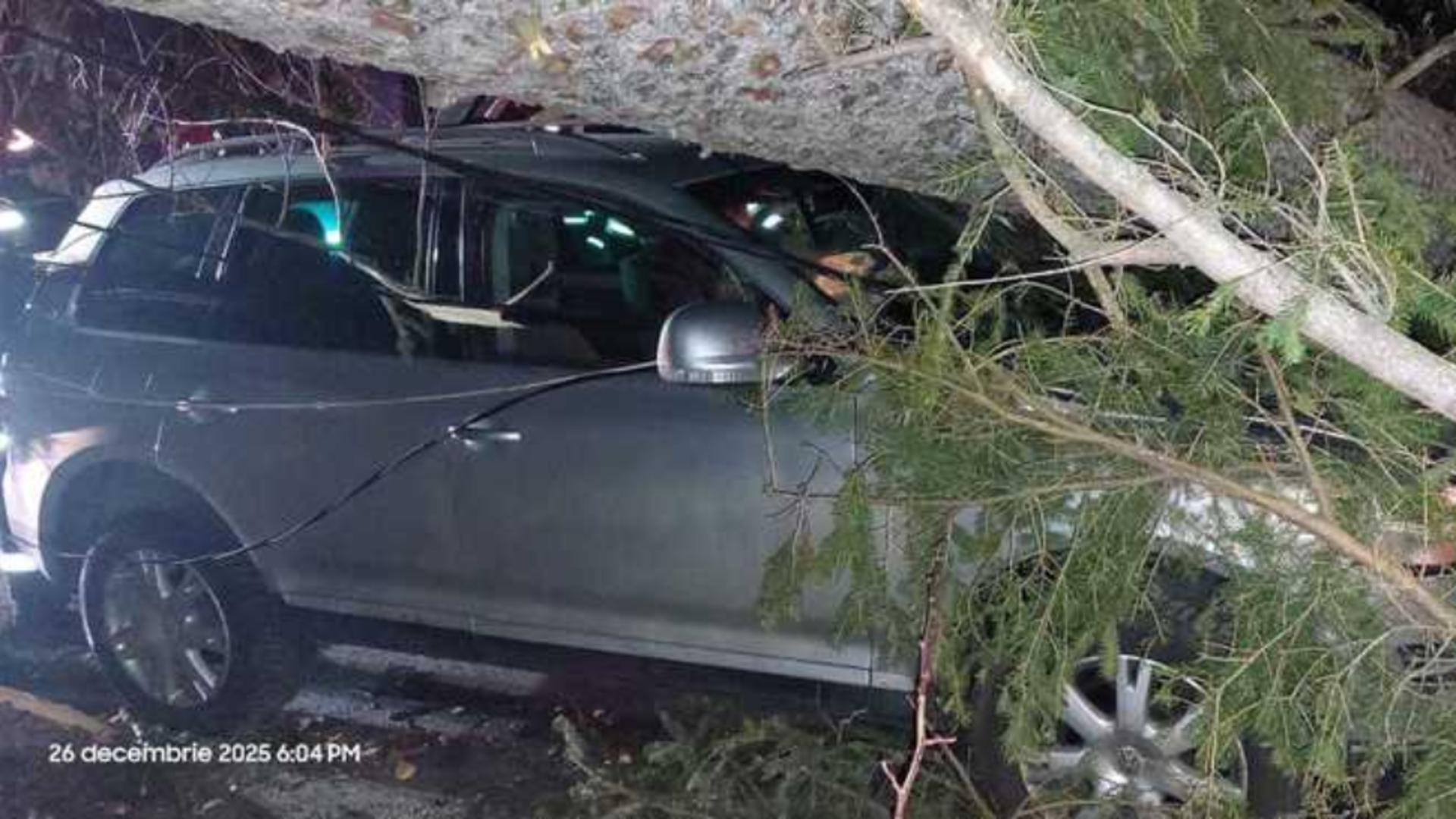 Furtuna a făcut ravagii pe Valea Prahovei: copaci smulși de vânt la Sinaia și un autoturism avariat