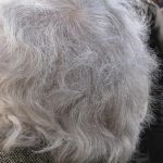 O pensionară a murit în timp ce aștepta după acte. Bătrâna de 84 de ani avea nevoie de o adeverință