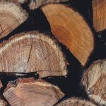 Prețul lemnelor de foc în 2025. Cu cât vinde Romsilva metrul cub și unde sunt cele mai mici prețuri