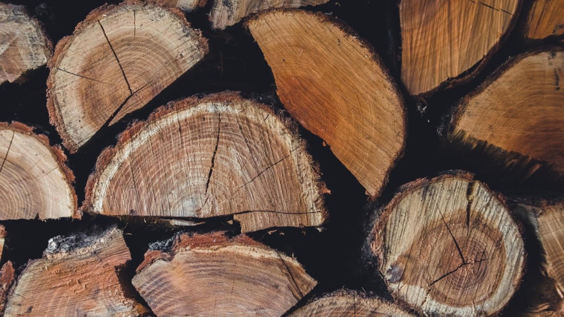 Prețul lemnelor de foc în 2025. Cu cât vinde Romsilva metrul cub și unde sunt cele mai mici prețuri
