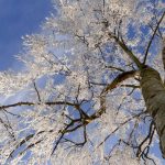 Crăciun cu zăpadă. Meteorologii de la ANM anunță ninsori abundente