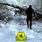 Intervenție în condiții extreme în Caraș-Severin: drumuri blocate de copaci și zăpadă – VIDEO