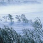 Alertă ANM: Cod Roșu de vânt în județul Cluj. Rafale de 120 km/h