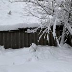 Alertă meteo COD GALBEN: ninsoare și viscol în munți, strat de zăpadă de până la 15 cm în Transilvania și Maramureș – HARTA cu zonele vizate