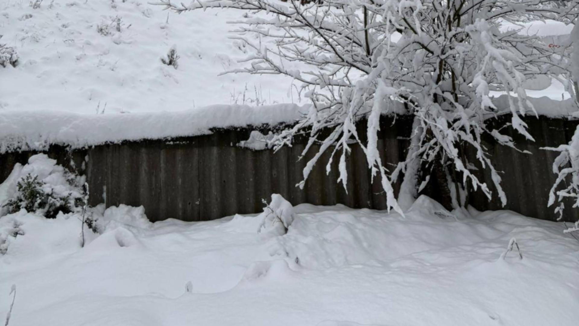 Alertă meteo COD GALBEN: ninsoare și viscol în munți, strat de zăpadă de până la 15 cm în Transilvania și Maramureș – HARTA cu zonele vizate