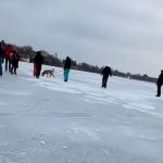 Gerul a înghețat lacul Snagov, patinoar natural imens. Cetățenii s-au avântat pe gheață, după ce o fetiță a fost la un pas de tragedie la Craiova