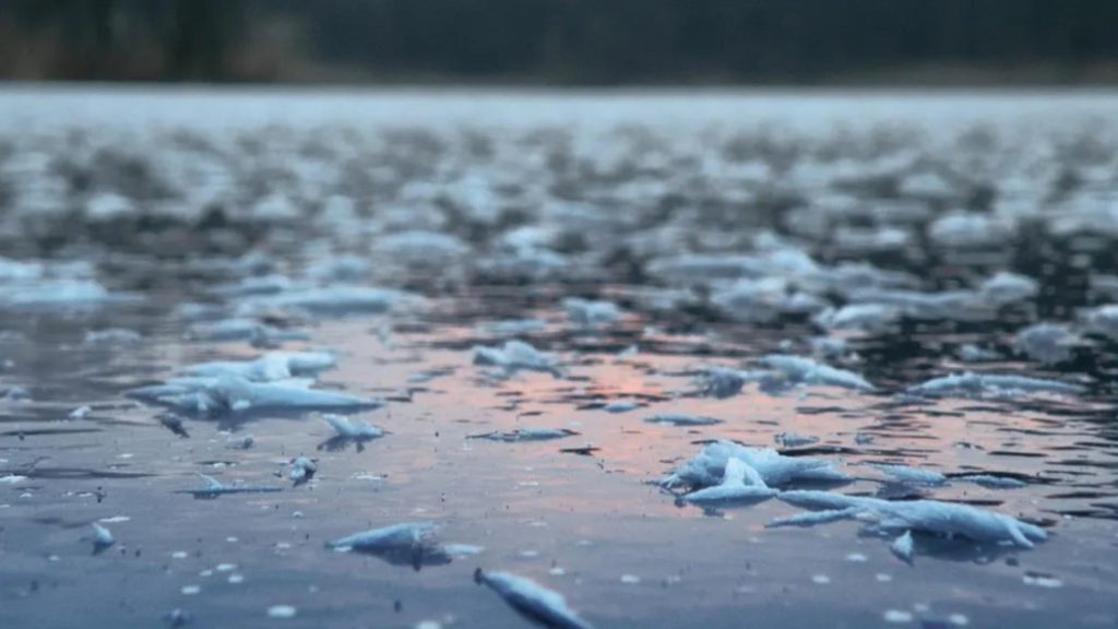 Un bărbat a căzut sub gheața râului Mureș în timp ce a încercat să-și salveze câinele. A fost salvat la timp de un pompier scafandru