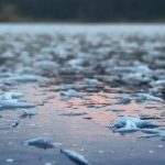 Un bărbat a căzut sub gheața râului Mureș în timp ce a încercat să-și salveze câinele. A fost salvat la timp de un pompier scafandru